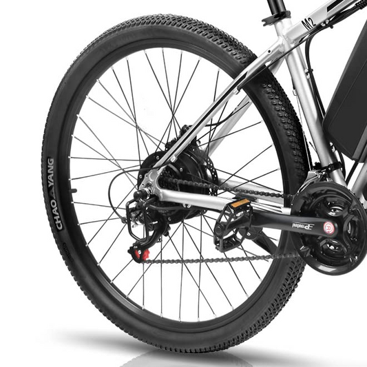29" Electric Bike Wheel Rear Wheel for E8/E9